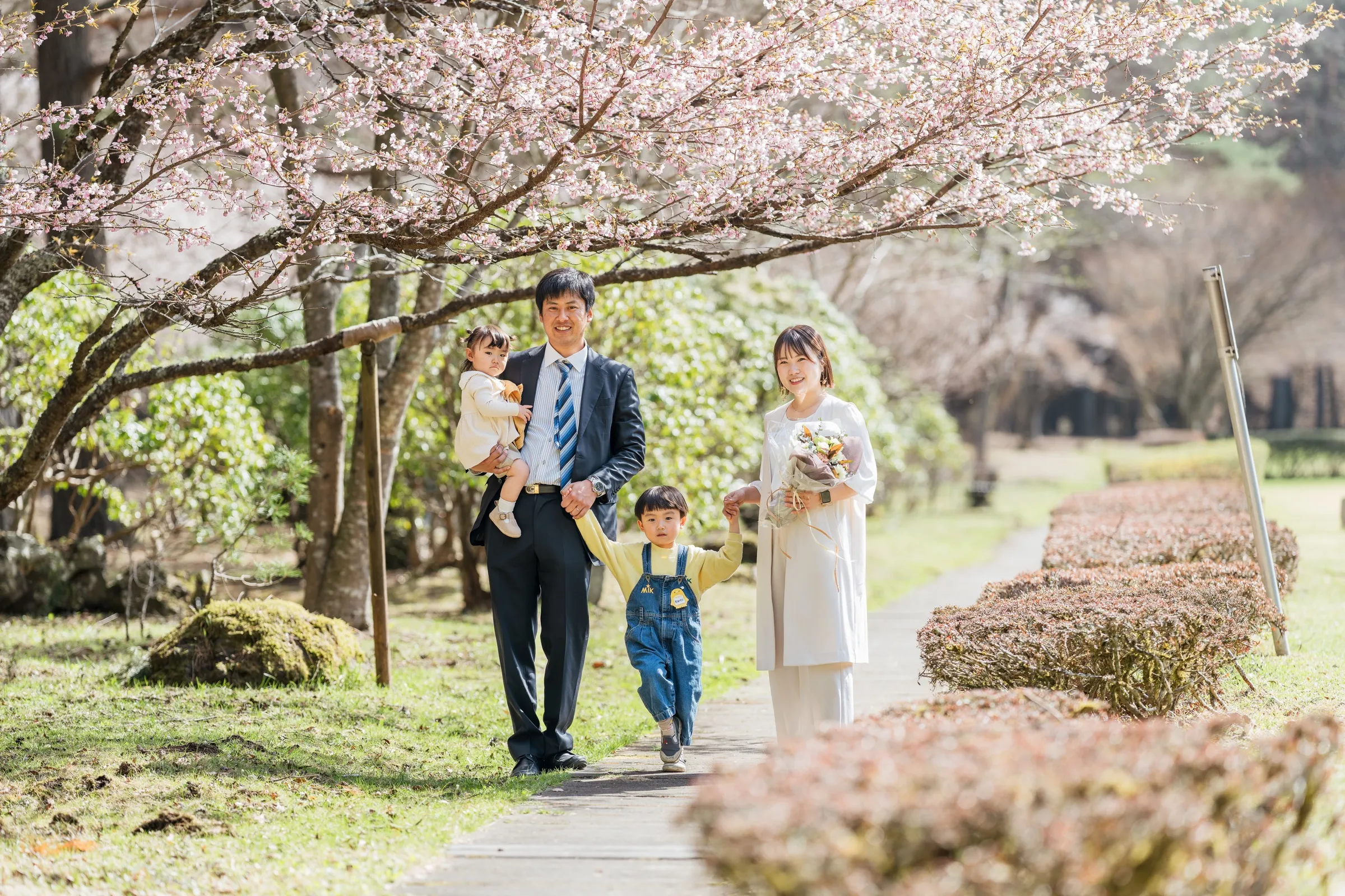 桜の咲く道を家族で歩く写真
